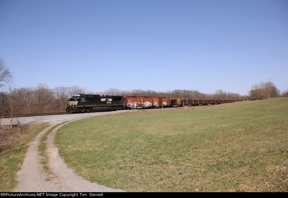 NS 4491 on rail train 913